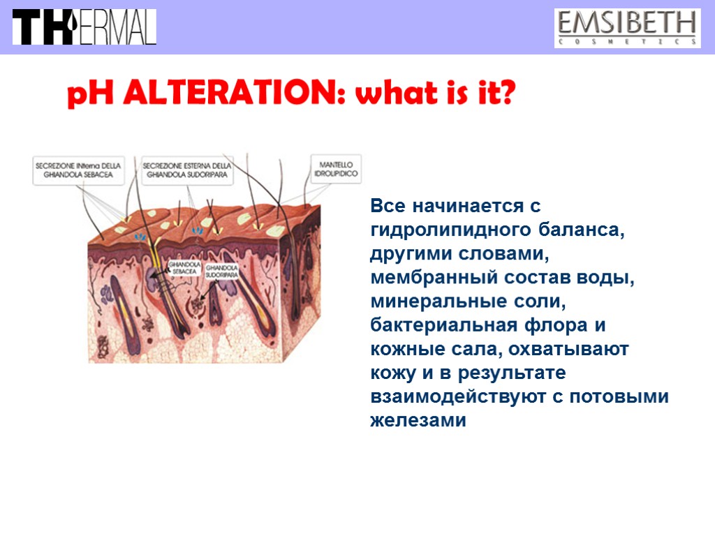 pH ALTERATION: what is it? Все начинается с гидролипидного баланса, другими словами, мембранный состав